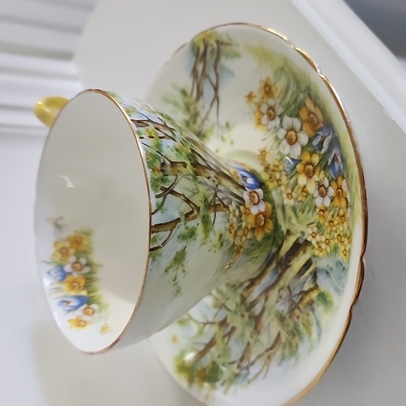 Shelley Bonę China, Daffodil Time Cup and Saucer, very rare collectible - Picture 8 of 8